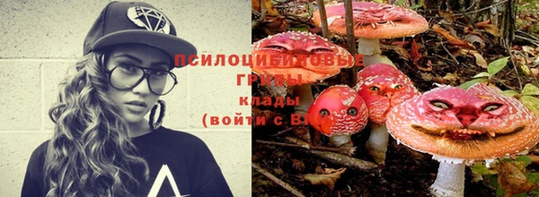 индика Уссурийск