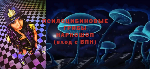 соль ск Навашино