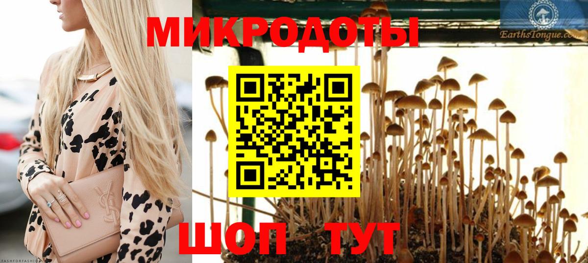 Балаково  Галлюциногенные грибы прущие грибы  Псилоцибиновые грибы прущие грибы  Вход с VPN 